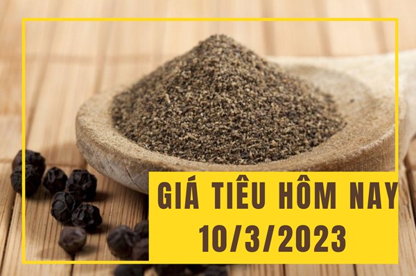 Giá tiêu hôm nay 10/3 tiếp tục im ắng phiên cuối tuần