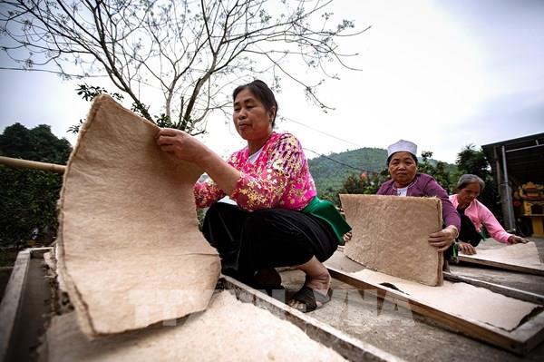 Nghề làm giấy Dó truyền thống của người Mường (Hòa Bình)