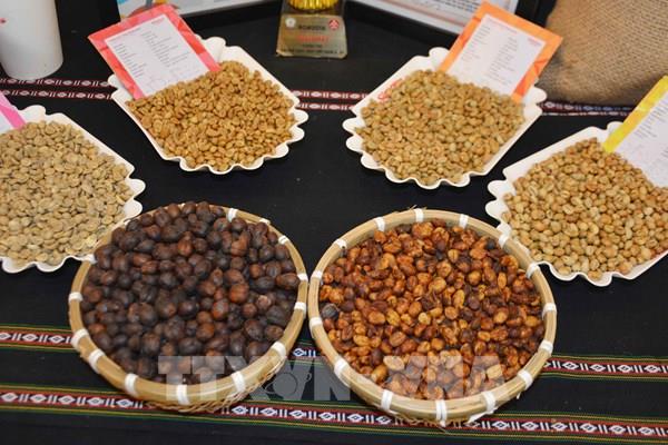 Khai mạc cuộc thi pha chế cà phê đặc sản Việt Nam 2023