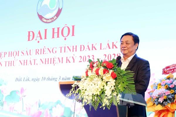 Tiến tới xây dựng chiến lược xuất khẩu sầu riêng