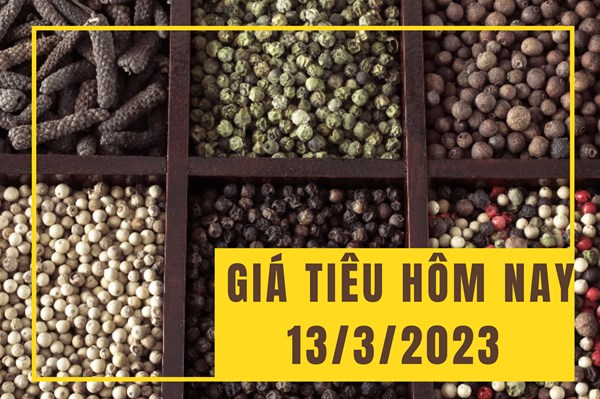 Giá tiêu hôm nay 13/3: Xu hướng đi ngang kéo dài