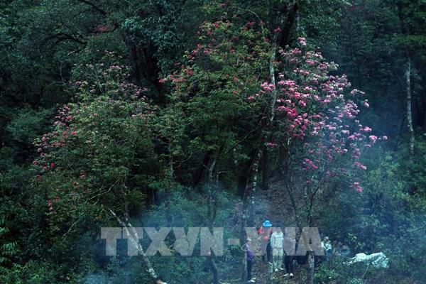 Kế hoạch thẩm định Quy hoạch bảo tồn đa dạng sinh học quốc gia