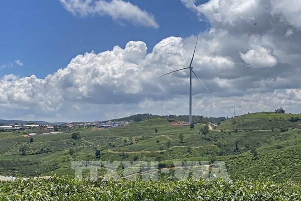 Lâm Đồng cho phép điều chỉnh dự án Nhà máy điện gió Cầu Đất