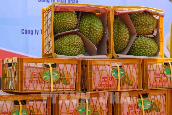 Phát triển kinh tế xanh để nâng sức cạnh tranh cho nông sản