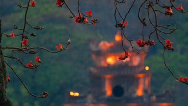 Những điểm check-in hoa gạo gần Hà Nội