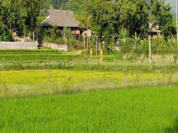 PC Yên Bái hướng đến mục tiêu hoàn thiện hệ thống đo đếm điện năng từ xa