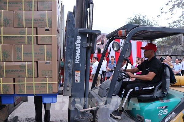 Hòa Bình xuất khẩu lô hàng mía tươi đầu tiên sang Hoa Kỳ