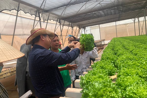 WinEco hỗ trợ kỹ thuật sản xuất nông nghiệp công nghệ cao 