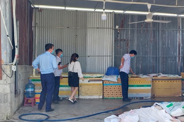 Phát hiện 5 tấn thịt, nội tạng lợn hôi thối tại cơ sở giết mổ ở Khánh Hòa