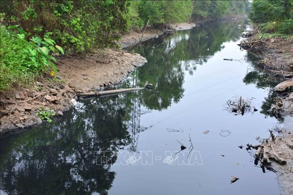Công bố sáng kiến khôi phục sông và vùng đất ngập nước lớn nhất trong lịch sử