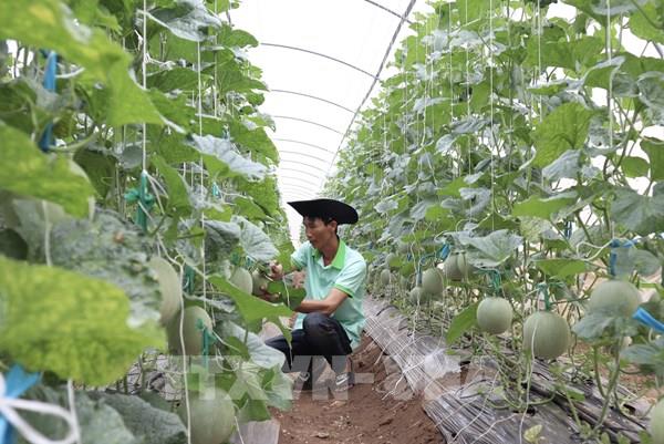 Kinh tế tuần hoàn: “Động lực” mới cho tăng trưởng