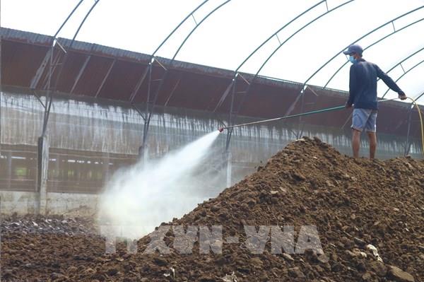 Chìa khóa tăng trưởng xanh