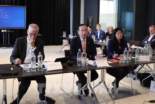 Quảng bá tiềm năng đầu tư tỉnh Bình Đình với doanh nghiệp Bỉ