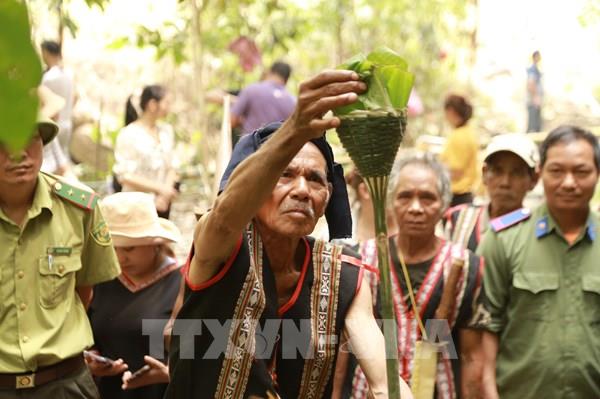 Lễ cúng Thần rừng của người Jrai ở Gia Lai