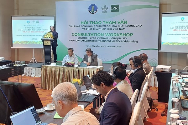 Giải pháp công nghệ chuyển đổi lúa chất lượng cao và phát thải thấp cho Việt Nam