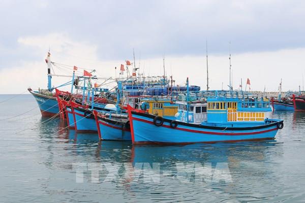 Kết luận của Phó Thủ tướng tại cuộc họp về chống khai thác IUU