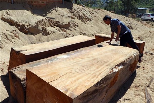 Kiểm điểm tập thể, cá nhân liên quan đến vụ phá rừng ở xã Đăk Pxi, Kon Tum