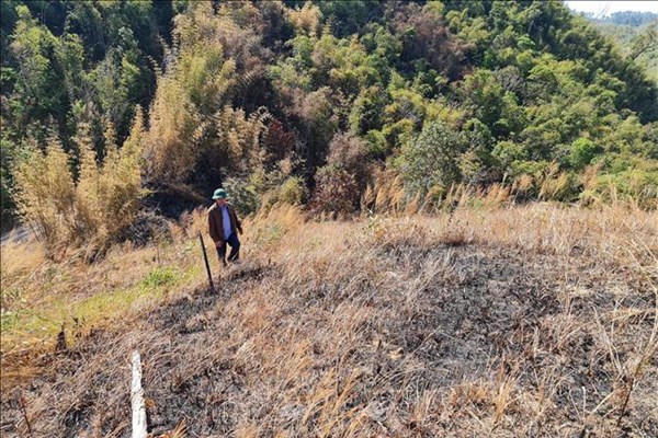 Xử phạt đối tượng đốt rừng phòng hộ Gia Nghĩa để lấn chiếm đất