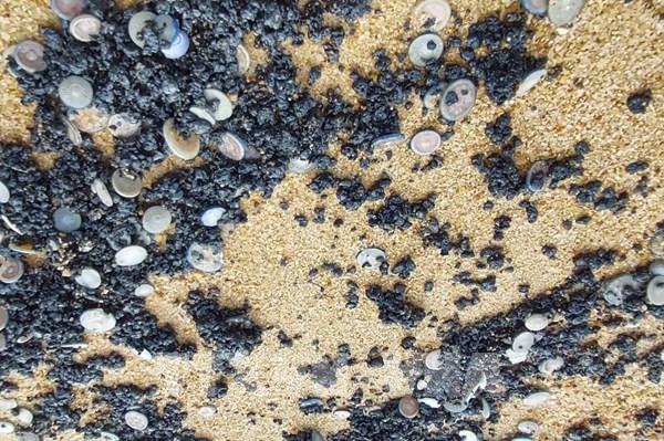 Khẩn trương khắc phục vệt dầu vón cục xuất hiện ở bờ biển Tuy Hòa