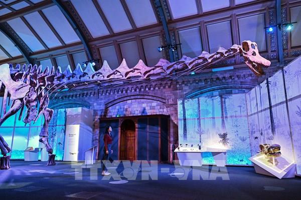 Tổng hợp sự kiện quốc tế nổi bật trong tuần qua ảnh (từ ngày 27/3 - 2/4/2023)