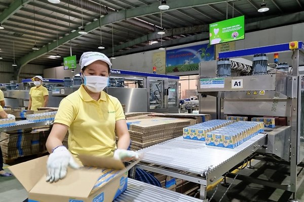 Vinasoy: Các mẫu lưu đối chứng lô hàng sữa đậu nành bị thu hồi tại Nhật không nhiễm vi khuẩn Coliforms