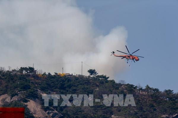 Hàn Quốc huy động gần 100 trực thăng cứu hỏa để dập cháy rừng
