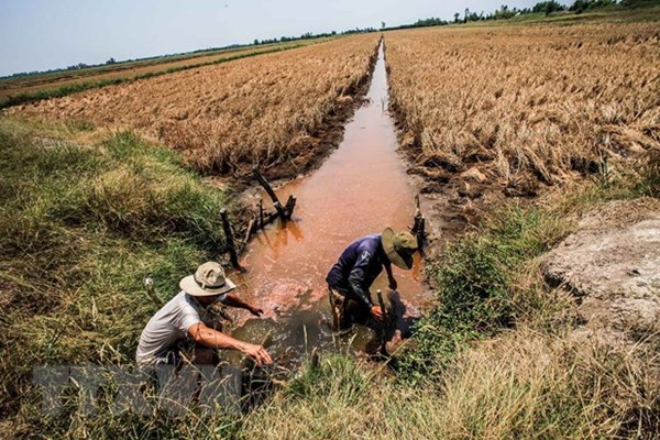 Ứng dụng khoa học, công nghệ trong sản xuất thích ứng biến đổi khí hậu