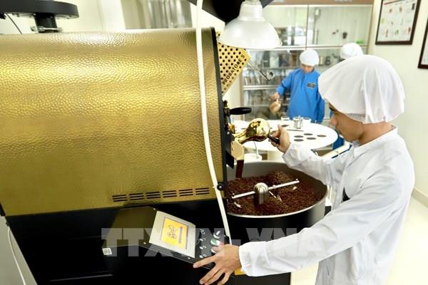 Tín hiệu xuất khẩu cà phê có thể thiết lập kỷ lục mới