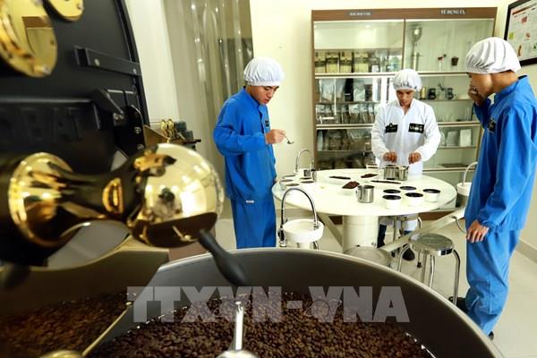 Nâng tầm giá trị cà phê Việt - Bài cuối: Tập trung chế biến sâu, chất lượng cao