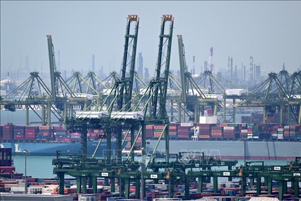 Doanh nghiệp Việt Nam-Singapore tìm cơ hội hợp tác về logistics, thương mại