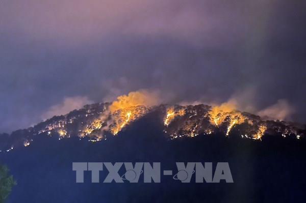 Cháy rừng thông nguyên sinh trên đèo Prenn Đà Lạt
