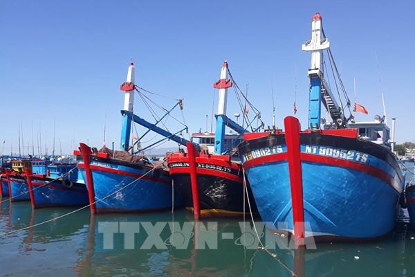 Khắc phục “thẻ vàng” IUU: Xử lý kịp thời vi phạm khai thác hải sản bất hợp pháp