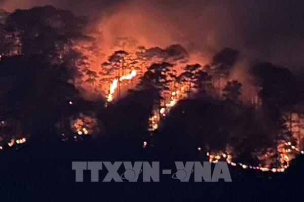 Cảnh báo cao điểm phòng cháy, chữa cháy rừng