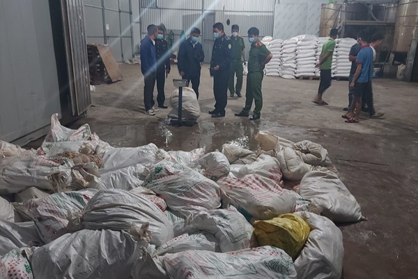  Phát hiện và tiêu hủy hơn 7 tấn lòng lợn chưa qua sơ chế, bốc mùi hôi thối