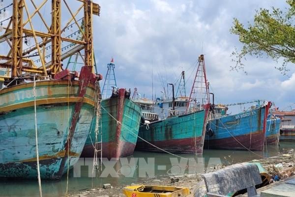 Ngư dân Bà Rịa-Vũng Tàu rao bán tàu do đánh bắt thua lỗ