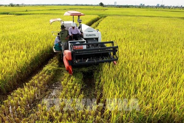 Động lực thiết thực cho nông dân khi miễn thuế sử dụng đất nông nghiệp