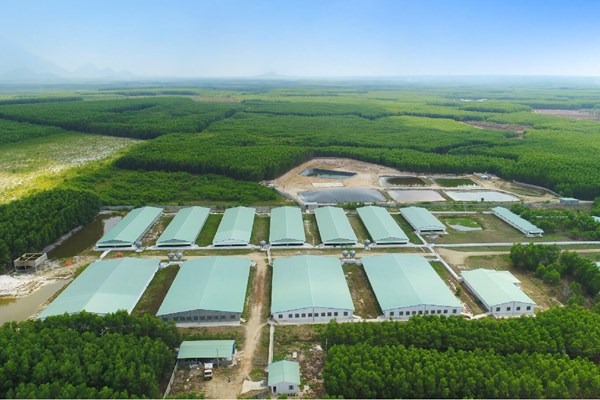 Nova Consumer để ngỏ khả năng niêm yết cổ phiếu lên UpCOM