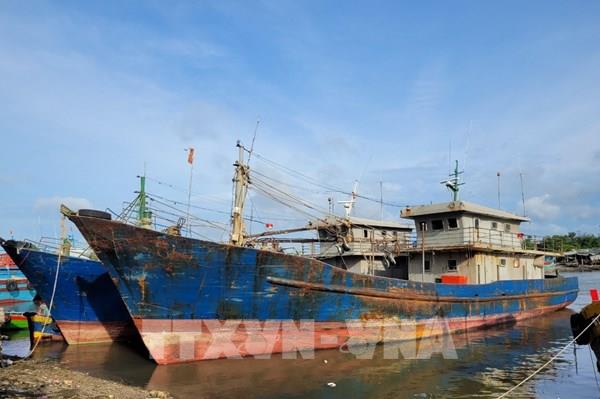 Nhiều khoản vay đóng tàu 67 có nguy cơ khó thu hồi