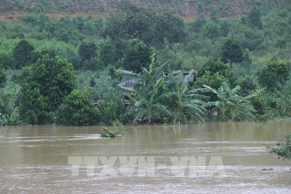 Điều chỉnh mực nước hồ chứa để chủ động đón lũ