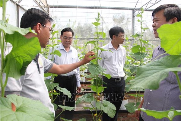 Còn nhiều khó khăn trong phát triển Khu nông nghiệp ứng dụng công nghệ cao