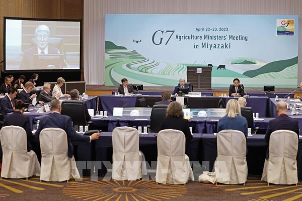 G7 tìm giải pháp đảm bảo nguồn cung lương thực ổn định