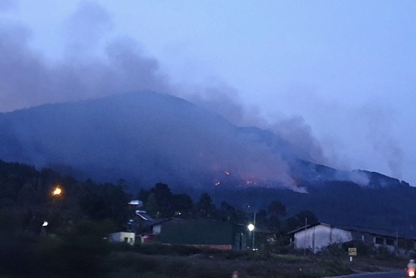 Cháy thực bì bùng phát mạnh thành đám cháy lớn ở núi Voi, Lâm Đồng