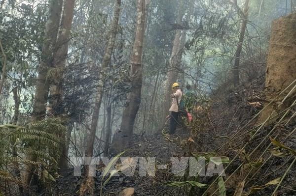 Cấp bách phòng cháy, chữa cháy rừng
