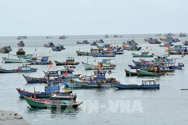  Hội Nghề cá Việt Nam phản đối Trung Quốc đơn phương cấm đánh bắt cá ở Biển Đông năm 2023