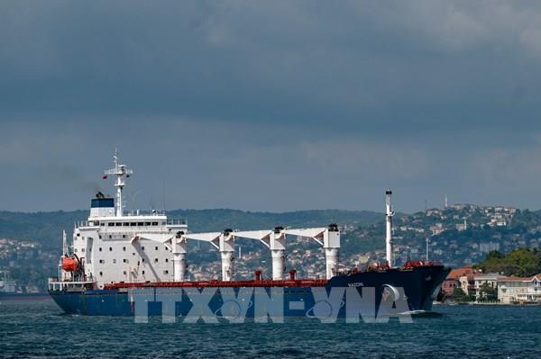 Anh và Thổ Nhĩ Kỳ nhấn mạnh cần gia hạn thỏa thuận ngũ cốc Biển Đen