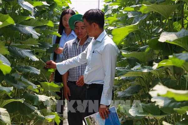 Động lực nghiên cứu khoa học công nghệ trong nông nghiệp