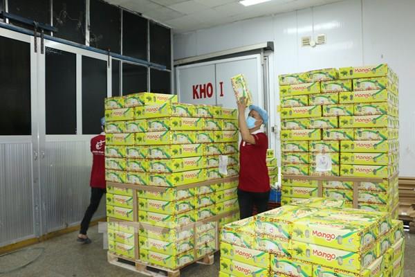 Hỗ trợ doanh nghiệp xuất khẩu qua thương mại điện tử