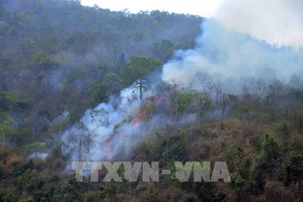 Cháy rừng tại xã Chiềng Đông, Sơn La