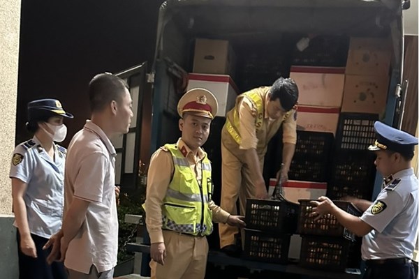 Kiểm tra, tạm giữ hơn 1 tấn hoa quả nhập lậu