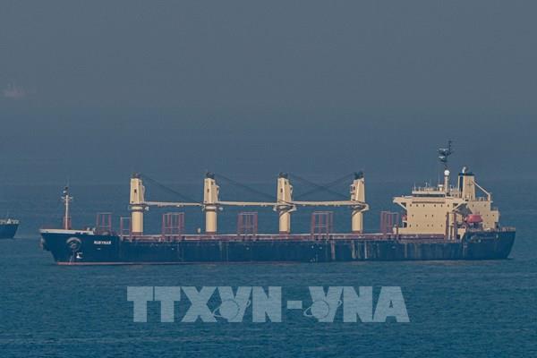 Khả năng gia hạn Sáng kiến ngũ cốc Biển Đen phụ thuộc vào sự nhượng bộ của EU
